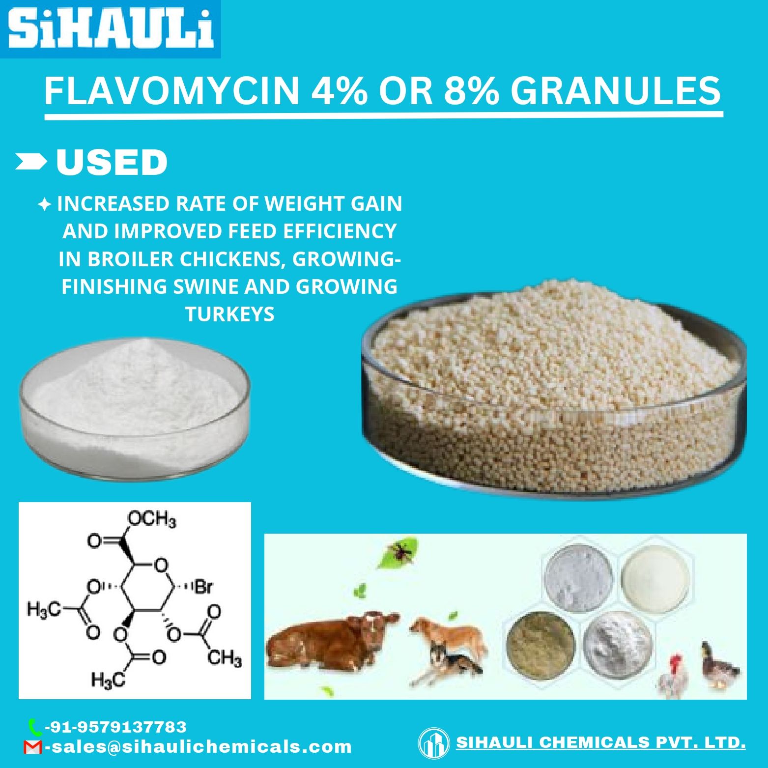 You are currently viewing Flavomycin 4% Or 8% Granules Manufacturers In India