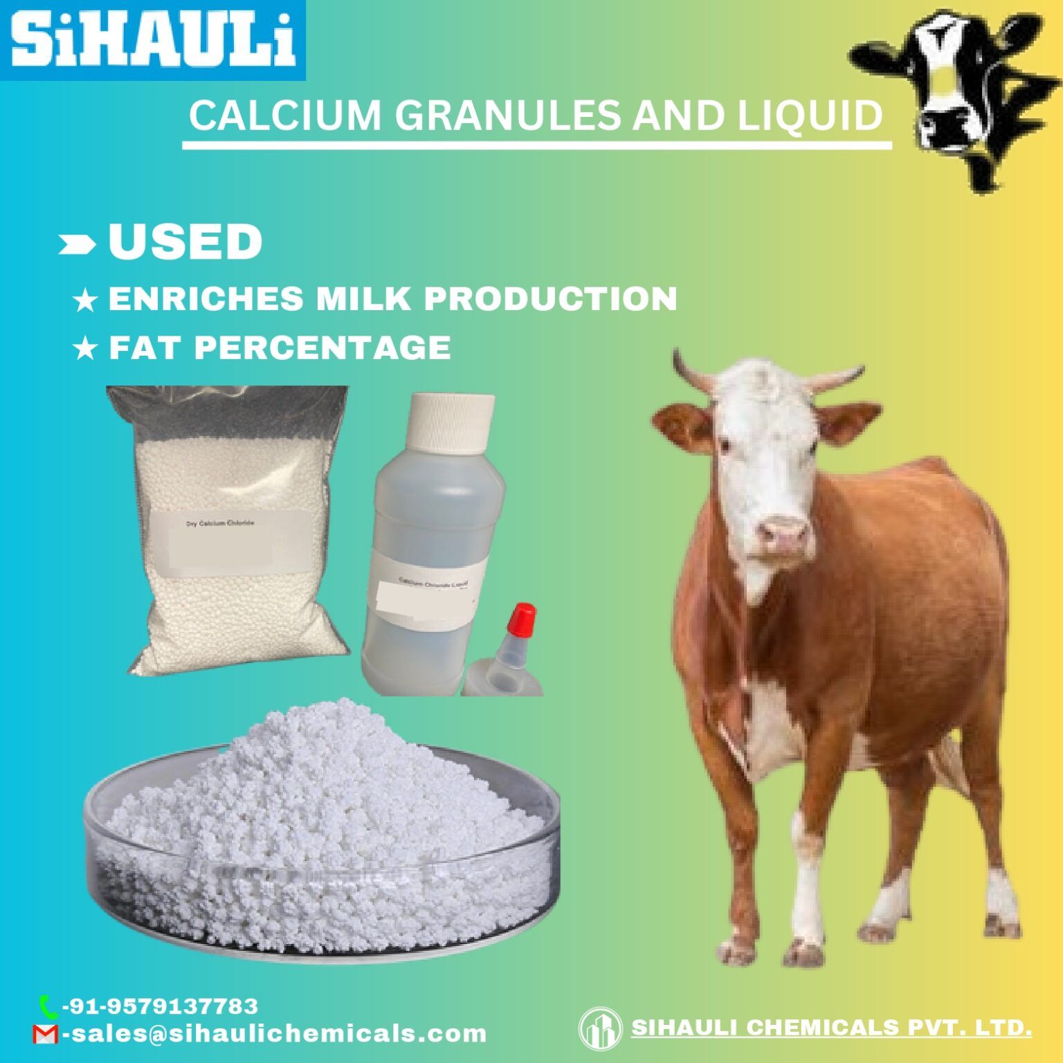 calcium-granules-and-liquid-manufacturers-in-india-sihauli-chemicals