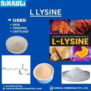 Read more about the article L Lysine Manufacturers In Mumbai