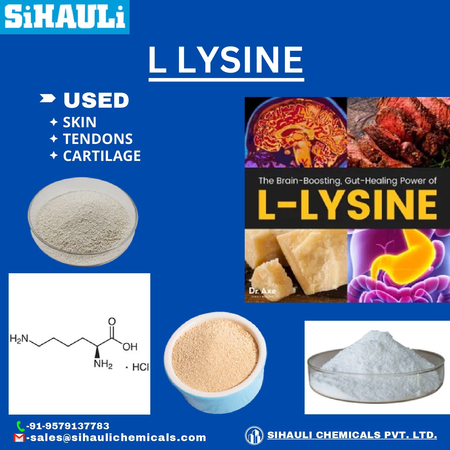 You are currently viewing L Lysine Manufacturers In Mumbai