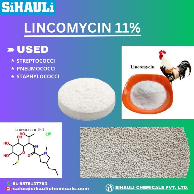 Read more about the article Lincomycin 11% Manufacturers In India