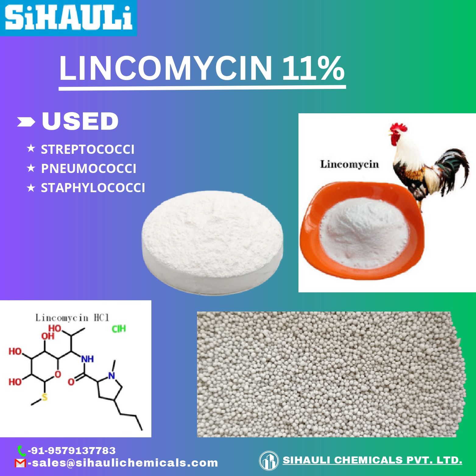 You are currently viewing Lincomycin 11% Manufacturers In India