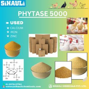 Read more about the article Phytase 5000 Manufacturers In Mumbai