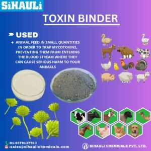 Read more about the article Toxin Binder Manufacturers In Mumbai