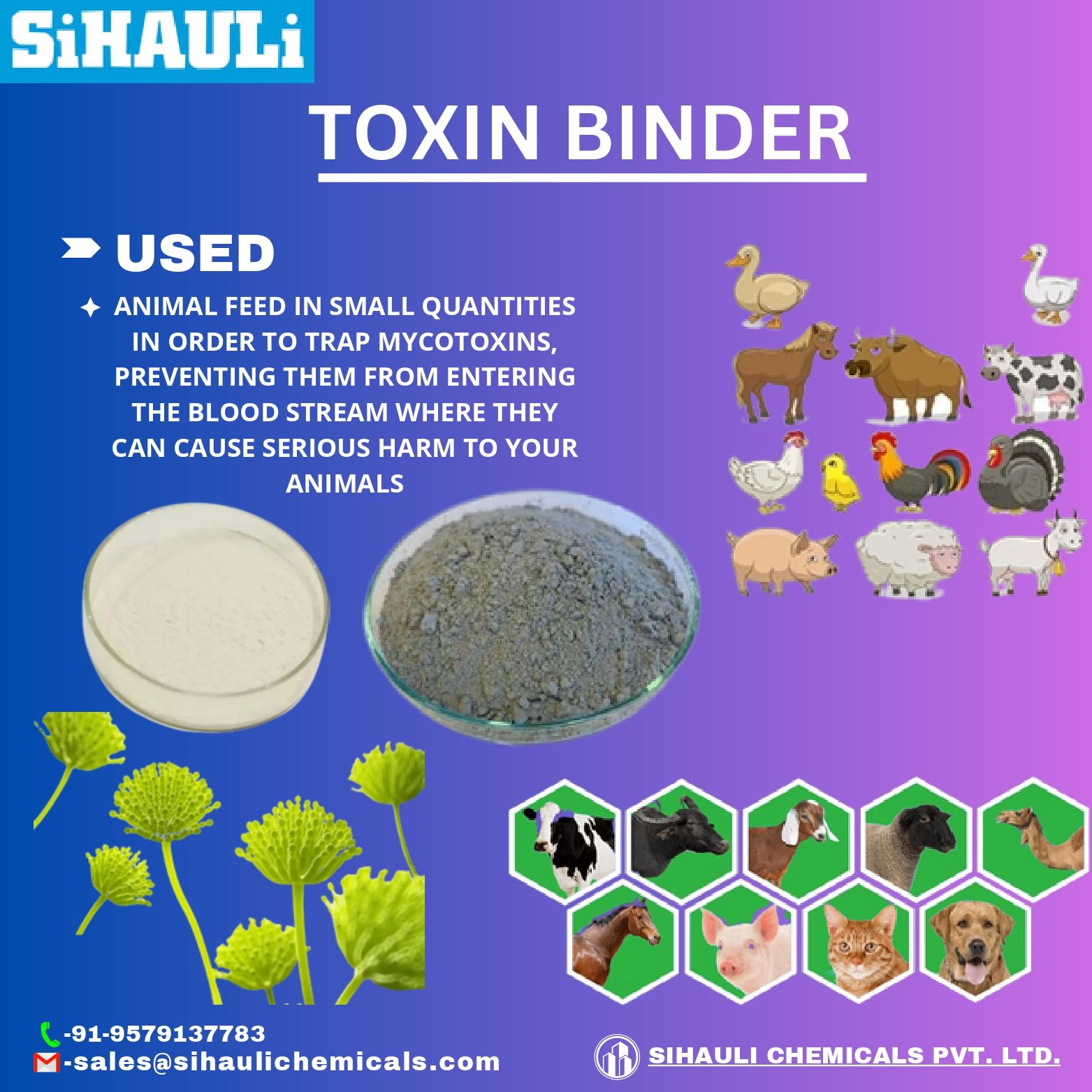 You are currently viewing Toxin Binder Manufacturers In India