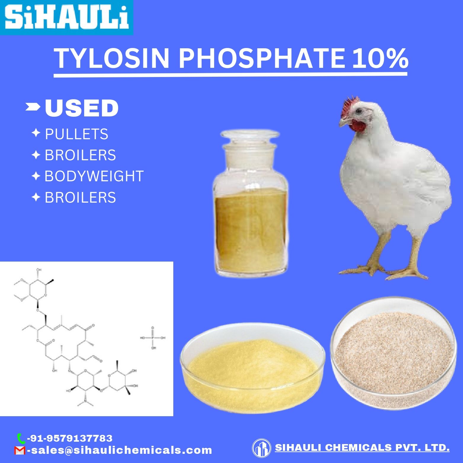 You are currently viewing Tylosin Phosphate 10% Manufacturers In Mumbai