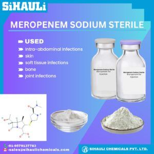 Read more about the article Meropenem Sodium Sterile Manufacturers In Mumbai