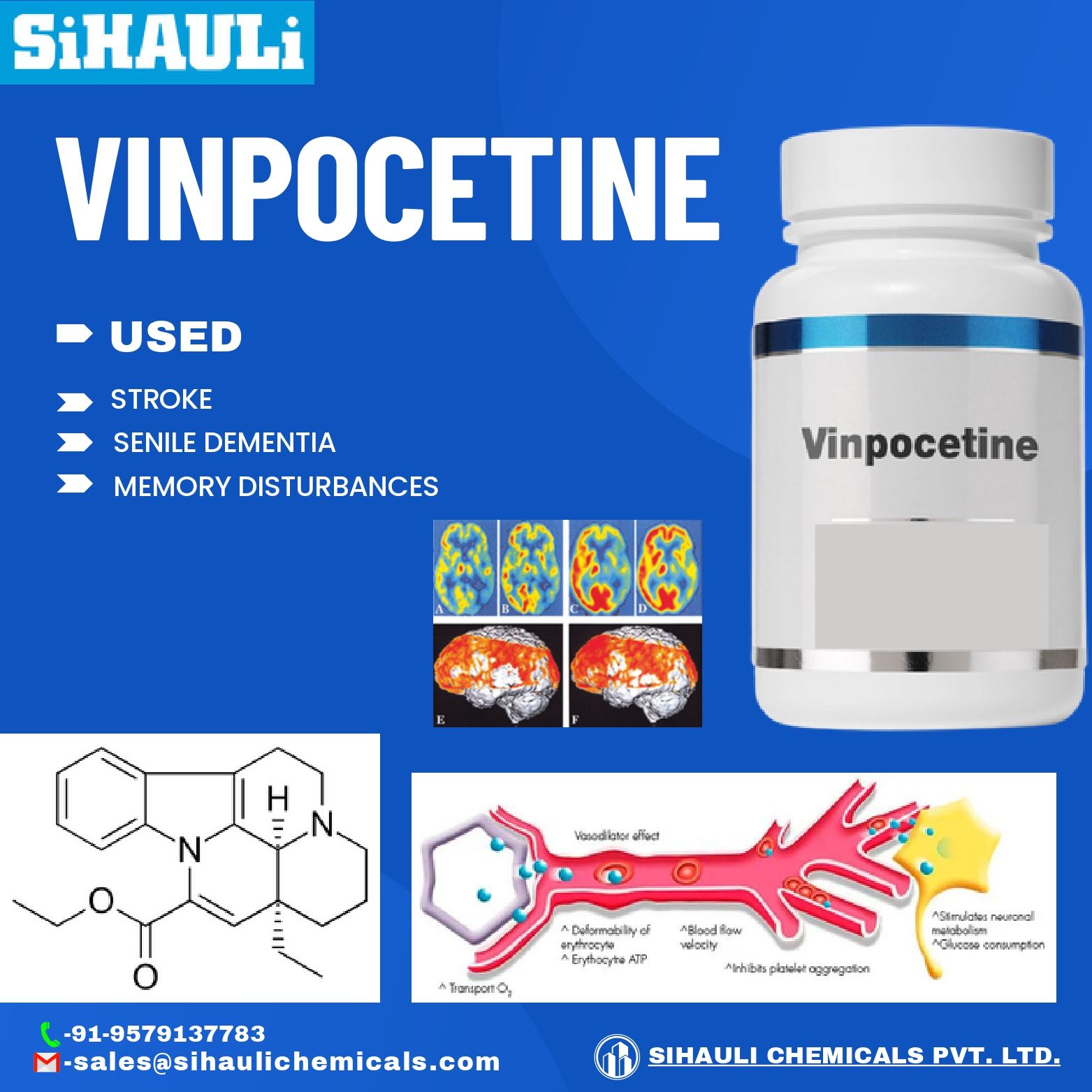 You are currently viewing Vinpocetine Manufacturers In Mumbai