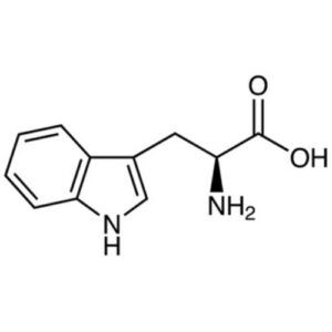 L – Tryptophan