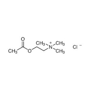 Acetylcholine chloride