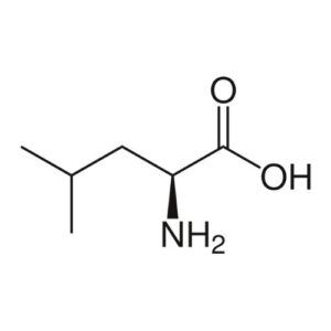 L – Leucine