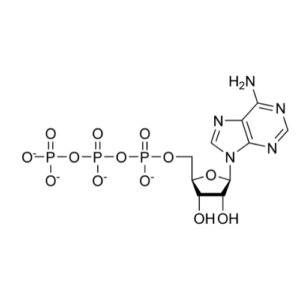 Adenosine Triphosphate 99% ( Atp)