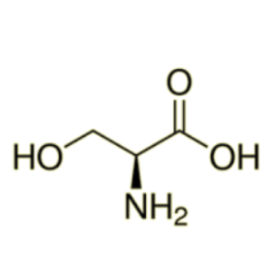 L – Serine