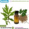 Davana Oil