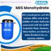 MES Monohydrate - Image 4